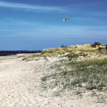 Seehund بيت للعطل Süssau