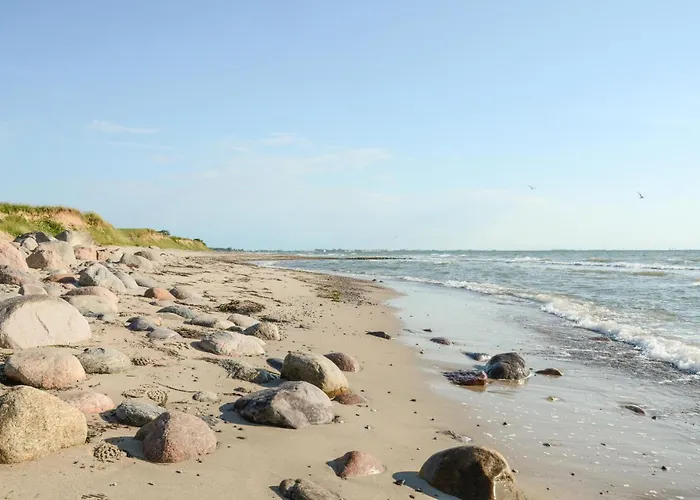 Seehund Vakantiehuis